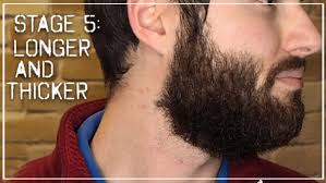 There are 3 stages of hair growth in the cycle, from actively beginning growth from the root to hair shedding. The 6 Stages Of Growing A Beard And Beard Growing Tips Real Bearded Men