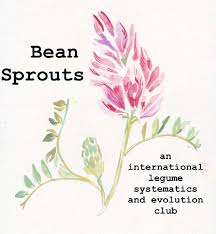 Image result for Eriosema rhynchosioides