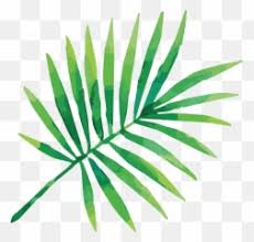 So you're looking for download and buy illustrations? Free Transparent Tropical Leaf Png Images Page 1 Pngaaa Com