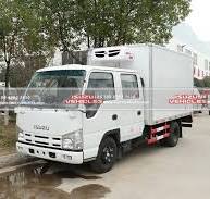 ISUZU 6 Ton Refrigerated Cooling Box Truck - ISUZU Vehicles