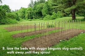 Pin On Cutting Garden