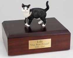 Pet cremation, 3d rendering, metal text on rust background. Tabby Cat Cremation Figurine Urn W Wooden Storage Box