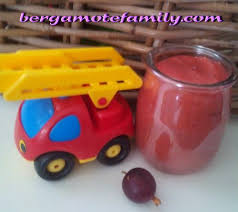 Compote De Groseille A Maquereau Et Pommes Des 8 Mois Groseilles A Maquereau Recette Bebe 8 Mois Recette Bebe