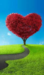 Dias Soleados Paisaje De Fantasia Fotos Animadas De Amor Fotografia De Arboles