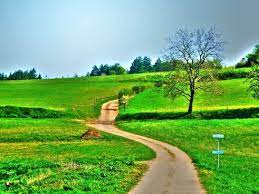 Explore the latest collection of nature wallpapers, backgrounds for powerpoint, pictures and photos in high resolutions that come in. Green Nature Background Free Stock Photos Download 28 892 Free Stock Photos For Commercial Use Format Hd High Resolution Jpg Images Sort By Popular First