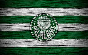 Veja mais ideias sobre palmeiras fc, palmeiras, wallpaper palmeiras. Gustavo Gomez Paraguayan Footballers Back View Se Palmeiras Brazil Soccer Hd Wallpaper Peakpx