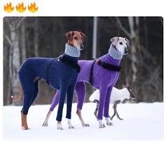 But beyond that, these two breeds each have unique traits that make them vastly similar in some ways and different in a few others. Turtleneck Sweater Dogs Know Your Meme