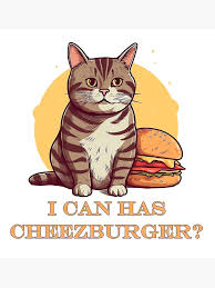Image result for i can has cheezburger