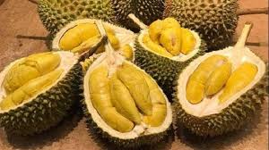 Pecinta durian wajib tahu dan eksplorasi rasa dari berbagai jenisnya berikut ini. Durian Termahal Di Dunia Rp 681 Juta Podium Lampung