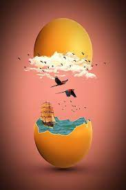 More top photo reference websites. Free Image On Pixabay Egg Broken Eggshell Hen S Egg Surreal Art Surreal Artwork Open Art