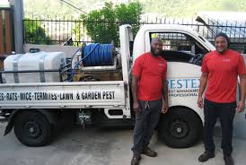 Whether you're dealing with roaches or rodents, count on their residential pest control experts to offer complete pest control services in a dependable and timely manner. Pestex Ltd Home