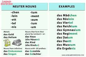 german nouns gender language step by gendered words how to write report in internship