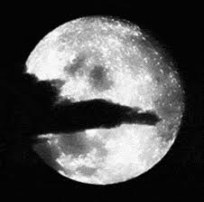 Two Wolves Howling At The Moon Gif Page 1 Line 17qq Com Discover more posts about howling at the moon. two wolves howling at the moon gif