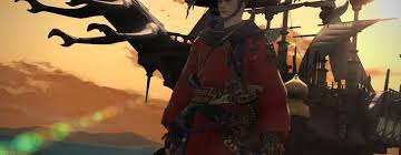 Warriors utilize most of what the marauder has done up to . Warrior Of Light Trophy In Final Fantasy Xiv A Realm Reborn Ps4