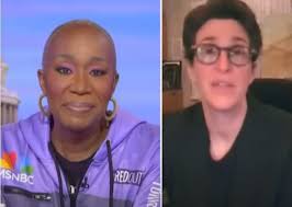 Hands Across Chicagoland event covered by MSNBC Rachel Maddow