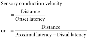 Image result for Nerve Conduction Velocity