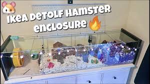Huge Hamster Enclosure Upgrade Ikea Detolf In 2020 Ikea Detolf Hamster Cage Hamster