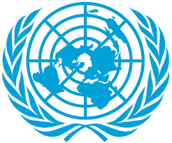 French organisation des nations unies and arabic: La Onu En Las Redes Sociales Naciones Unidas
