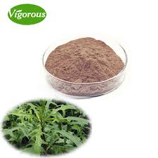 Gambar 3 dimensi mulai trend skitar awal tahun 2014. Bubuk Selada Liar 100 Alami Ekstrak Daun Selada Liar Ekstrak Selada Liar Buy Selada Liar Ekstrak Ekstrak Daun Selada Liar Liar Selada Bubuk Product On Alibaba Com