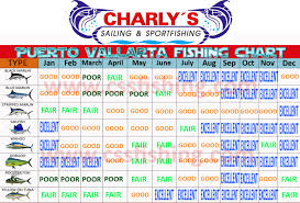 Custom 42ft A C Charly S Sport Fishing Tours Puerto Vallarta