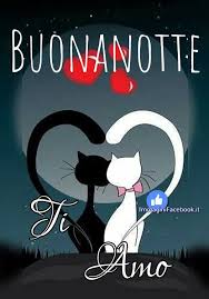 Buonanotte Ti Amo Buonanotte Ti Amo Buongiorno Divertente