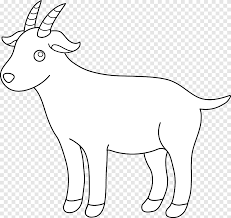 Buku hitam putih, domba, gambar, seni garis, kartun, buku mewarnai, domba dan daging kambing, wajah, kartun, daerah, hitam png. Boer Goat Black Bengal Goat Pygmy Goat Sheep Renewal S White Mammal Png Pngegg