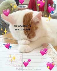 Funny Love Mems For Him Heart 43 Best Ideas Love You Meme Cute Love Memes Love Memes Funny
