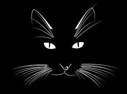 koshka mordochka risunok 11 tys izobrazhenij najdeno v yandeks kartinkah chernaya koshka risunok risunki