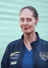 Our Team Meet Our Team