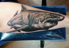 As for the tattoos, people usually choose the white and the hammerhead sharks. My Great White Shark Tattoo Done By Scott Carlin At The Gallery Of Living Art In Lansdale Pa Greatwhite Shark Girl Shark Tattoos Ocean Tattoos Hd Tattoos