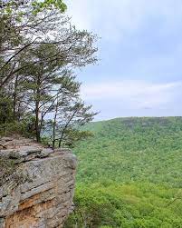 Overlook At Stone Door In South Cumberland State Park Tennessee Tennessee Travel Outdoors Adventure Travel Outdoors