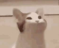 Pop cat meme remix based on my. Pop Cat Lol Gif Pop Cat Pop Lol Discover Share Gifs