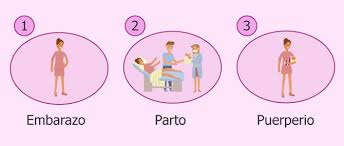 La Menstruacion Despues Del Parto Cuanto Tarda En Bajar
