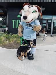 Austin fc's q2 stadium's northeast gate on june 7, 2021. Goals And Highlights Tigres 3 1 Austin Friendly Match 2021 07 13 2021 Vavel Usa