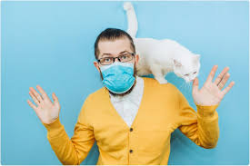 They do occur in males, but mammary tumors account for 17% of all cat tumors. Study Reports On Two Cats That Caught Covid 19