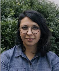 Portland's Independent District Commission