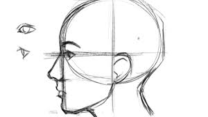 In fact, people have been drawing and painting the human when drawing the face the horizontal lines also act as markers to tell you where to put the hairline, mouth, and ears. How To Draw A Face Profile Youtube