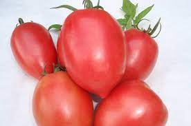 Degeaba ne mai mangaie meteorologii cu temperaturi mai mari decat media lunara. Cele Mai Gustoase Soiuri De Rosii Top Realizat De Producatori