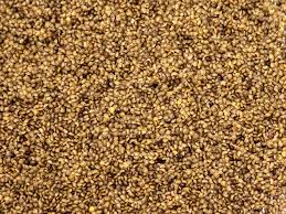 Image result for Aeschynomene cristata