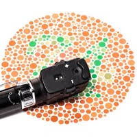 Most of these tests are versions or variations of the ishihara screening test for color blindness. Colorlite Color Blindness Test Color Blind Test Test Your Color Vision Color Vision Test