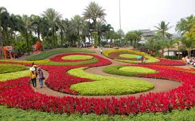 Cukup menarik kan berwisata ke pattaya ? Excursions Terbaik Di Pattaya Dengan Penerangan Dan Harga Panorama Pattaya Pattaya Pelancongan Maya Tarikan Peta Foto Lawatan Video Di Pattaya