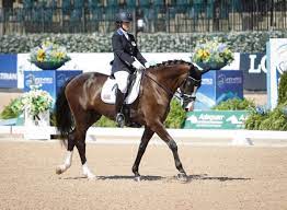 Sanne voets (born 17 september 1986) is a dutch paralympic equestrian. Sanne Voets Sanne Voets Twitter