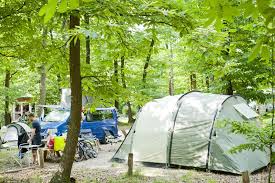 Check spelling or type a new query. Camping Pitch With Electrical Hook Up 4 At Huttopia Versailles Cool Camping 6181