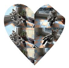 I wanna be with you everywhere. I Wanna Be With You Everywhere Performance Space New York