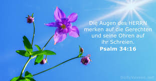 This advisory also provides guidance on what developers can do to update their applications to remove this vulnerability. Wqkgpuy Zkfw1m