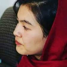 کمیته علمی کانون فرهنگی حکیم ناصر...