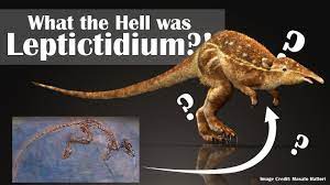 Leptictidium: A Strange Dawn for the Age of Mammals - YouTube