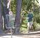 Image of What are the rules to disc golf?