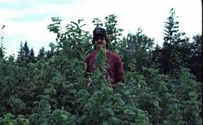 The international code of conduct on pesticide management is the framework on pesticide management for all public and private entities engaged in, or associated with, production, regulation and management of pesticides. Chapter 22 Pesticides Environmental Science