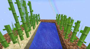 You never need to replenish it because it replenishes it's self!!! Sand Grows Sugar Cane Faster Than Dirt Survival Mode Minecraft Java Edition Minecraft Forum Minecraft Forum